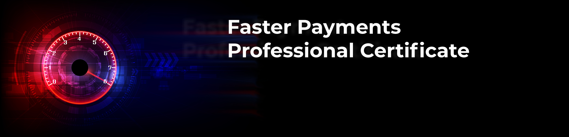 Faster Payments Professional Certificate
